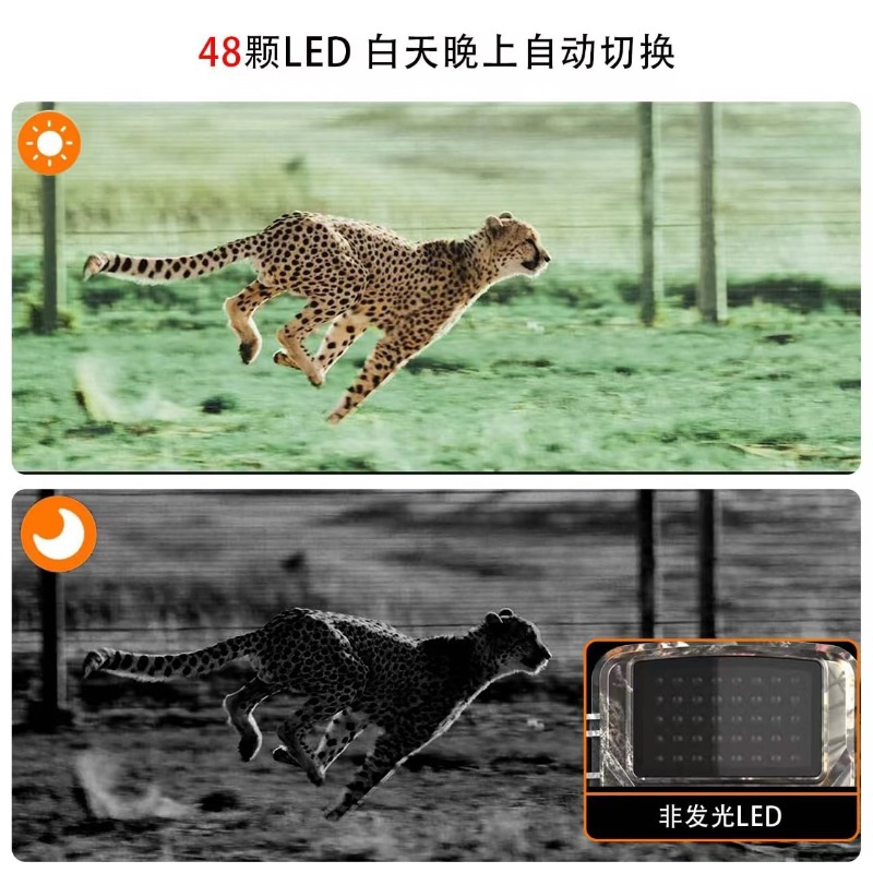 GORĄCA WYPRZEDAŻ DL001 Kamera  – Hunting Outdoor Camera recenzja i cena