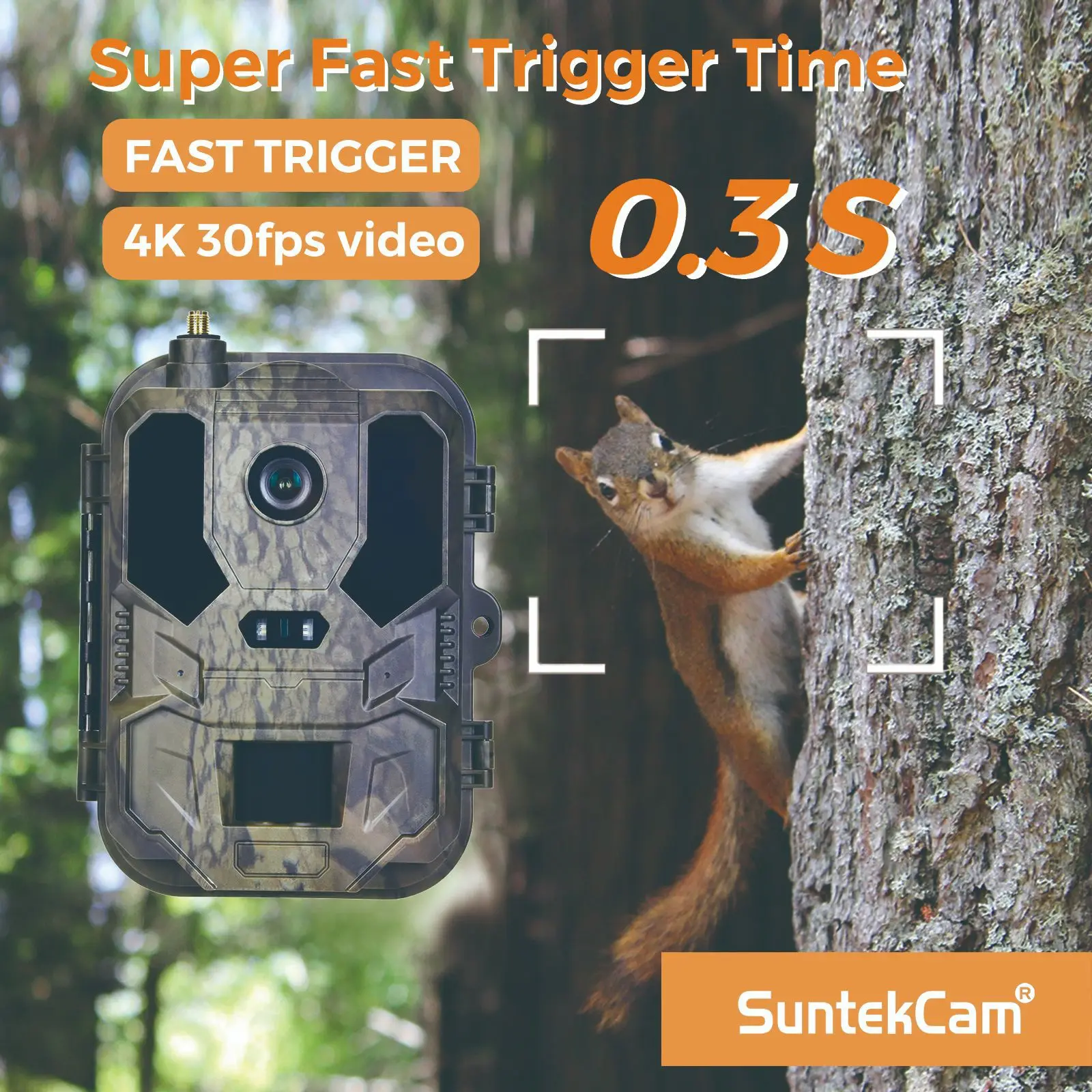 Kamera leśna 4G z podczerwieni – Hunting Outdoor Camera recenzja i cena